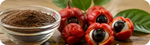 Guarana seed extract